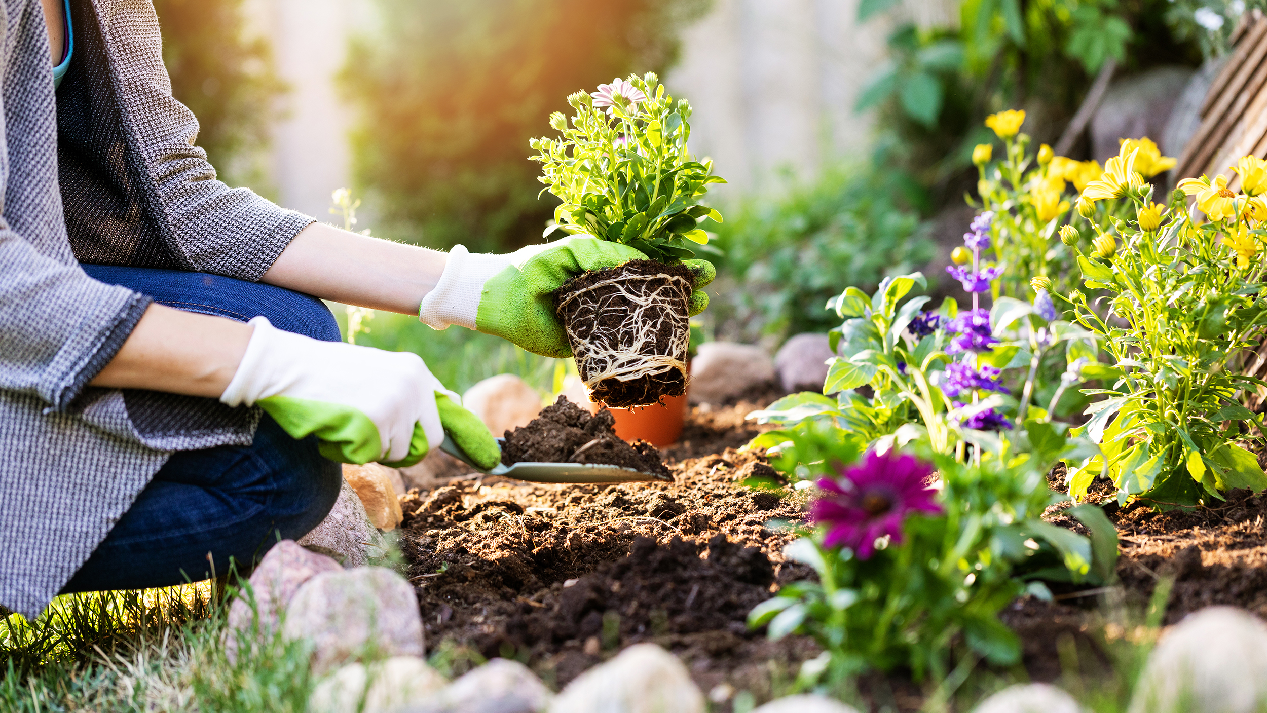 Gardening: A fun hobby that’s good for your health